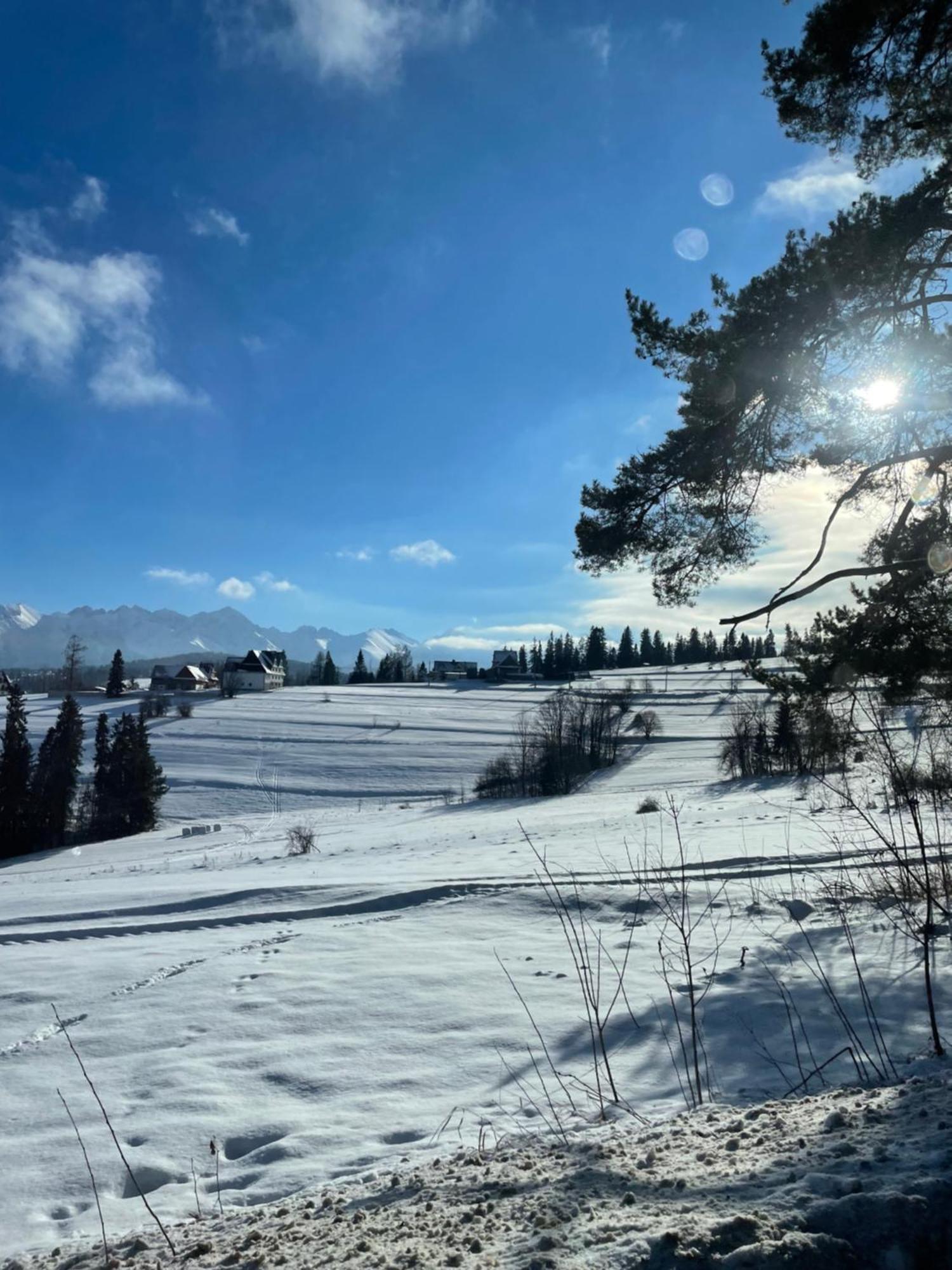 Willa Pod Wierchem Tatranská Bukovina Exteriér fotografie